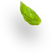 foto mediterranea accademia del gusto