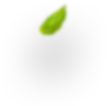 foto mediterranea accademia del gusto