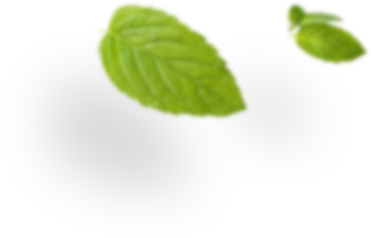 mediterranea accademia del gusto