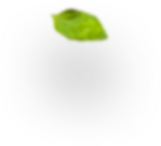 mediterranea accademia del gusto